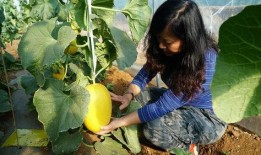 野生翻车怪带你吃瓜,尽享夏日清凉之旅
