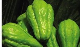 喂鸡吃佛手瓜,喂鸡新食趣谈