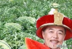 给老头吃瓜,一位老者与夏日瓜果的温馨邂逅