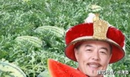 给老头吃瓜,一位老者与夏日瓜果的温馨邂逅