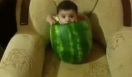 吃真人瓜,揭秘真人瓜背后的真相与争议