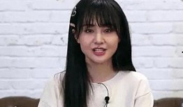 郑爽吃瓜文件,娱乐圈背后的真相与争议