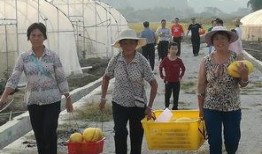 兴业吃瓜,揭秘娱乐圈背后的那些事儿