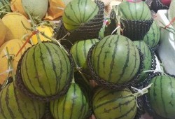 可以吃瓜了吗,一场关于网络热词的趣味探讨