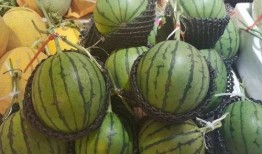 可以吃瓜了吗,一场关于网络热词的趣味探讨