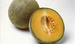 皮厚的软皮瓜怎么吃,皮厚软皮瓜的多样食用攻略