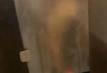 健身房视频吃瓜,揭秘健身达人的幕后故事