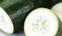 泉州经贸吃瓜,吃瓜群众眼中的风云变幻