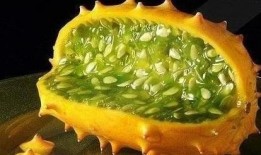 角瓜吃心吗,角瓜吃心之谜，真相令人震惊！