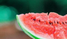 日出吃瓜的图片,瓜果飘香，共享美好时光