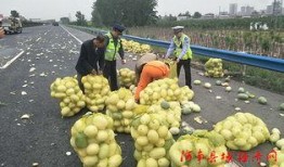 许昌大学吃瓜视频