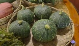 滇瓜怎么吃,解锁云南特色美食新体验