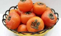 吃瓜可以吃柿子吗,揭秘夏日消暑美食的搭配之道