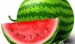 滨州博兴吃瓜事件,一场网络热议背后的真相探寻