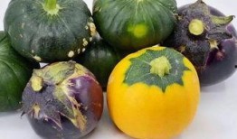 庄洁妈在线吃瓜,揭秘娱乐圈幕后故事