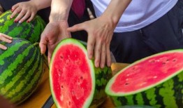 河南工贸学院吃瓜,揭秘校园里的“瓜田”风云