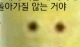 瓜哥吃瓜说新闻是真的吗,揭秘网络传闻背后的真相