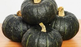 宝宝吃洋瓜好吗,营养与健康的完美结合