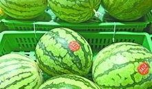 武汉汉中街吃瓜,夏日吃瓜盛地，街头巷尾的清凉时光