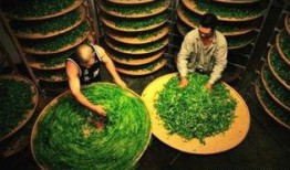 潮汕卖茶叶吃瓜,品茗赏瓜，尽享悠闲茶文化时光