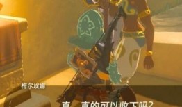 塞尔达围墙吃瓜,吃瓜群众揭秘神秘事件背后的真相