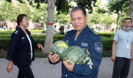 体育学院吃瓜,揭秘校园里的“吃瓜”盛事