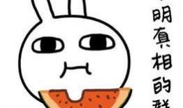 吃瓜不适怎么形容,揭秘网络热议背后的健康隐患