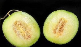 吃瓜吃坏嗓子应该找谁,吃瓜需谨慎，专家支招解燃眉之急