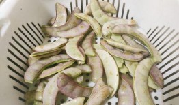 瓠瓜鹅吃不,探寻传统美食的独特魅力