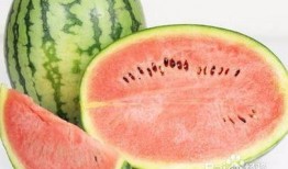 吃瓜失败怎么办,吃瓜失败？教你如何优雅应对尴尬局面