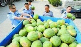 邹城吃瓜群,揭秘当地美食文化圈