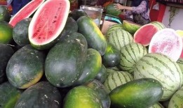 吃瓜产品,品味夏日清凉新风尚