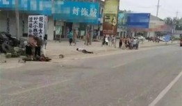 吃瓜定州西杨村,吃瓜群众的欢乐田园生活