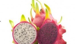 黑色吃瓜群,揭秘网络社交背后的秘密世界