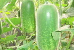 艺星吃瓜,揭秘娱乐圈背后的那些事儿