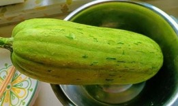 吃真瓜,探寻自然美味之旅