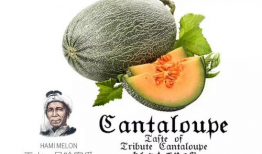 吃瓜就可以变强,揭秘神奇食补法