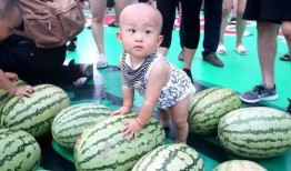 大俊吃瓜,揭秘娱乐圈幕后故事