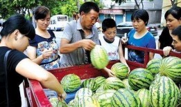 当街吃瓜,见证人间百态