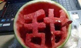 带你吃瓜奇葩公交,带你揭秘“带你吃瓜”奇葩公交背后的故事