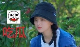 吃瓜闪现,揭秘网络热点的瞬间传播奥秘