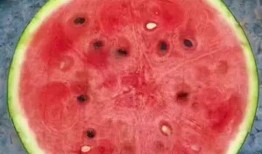 夏天必吃瓜神器,揭秘夏天必吃瓜神器！