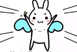 野生翻车怪带你吃瓜,尽享夏日清凉之旅