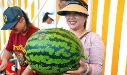 sweet吃瓜,跟随Sweet吃瓜，解锁夏日清凉新姿势