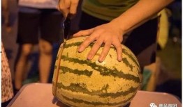 吃瓜神器每日大赛