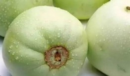 梦到瓜秧旺盛摘瓜吃,丰收喜悦的摘瓜体验