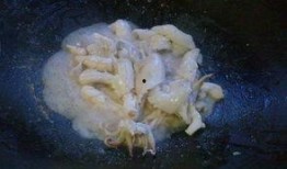 角瓜吃心吗,角瓜吃心之谜，真相令人震惊！