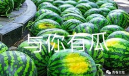 许昌大学吃瓜视频