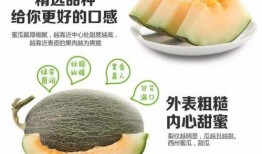 吃蜜瓜测血糖,甜蜜背后的血糖影响