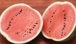 提提神 色 吃瓜,揭秘“提提神、色、吃瓜”的独特魅力